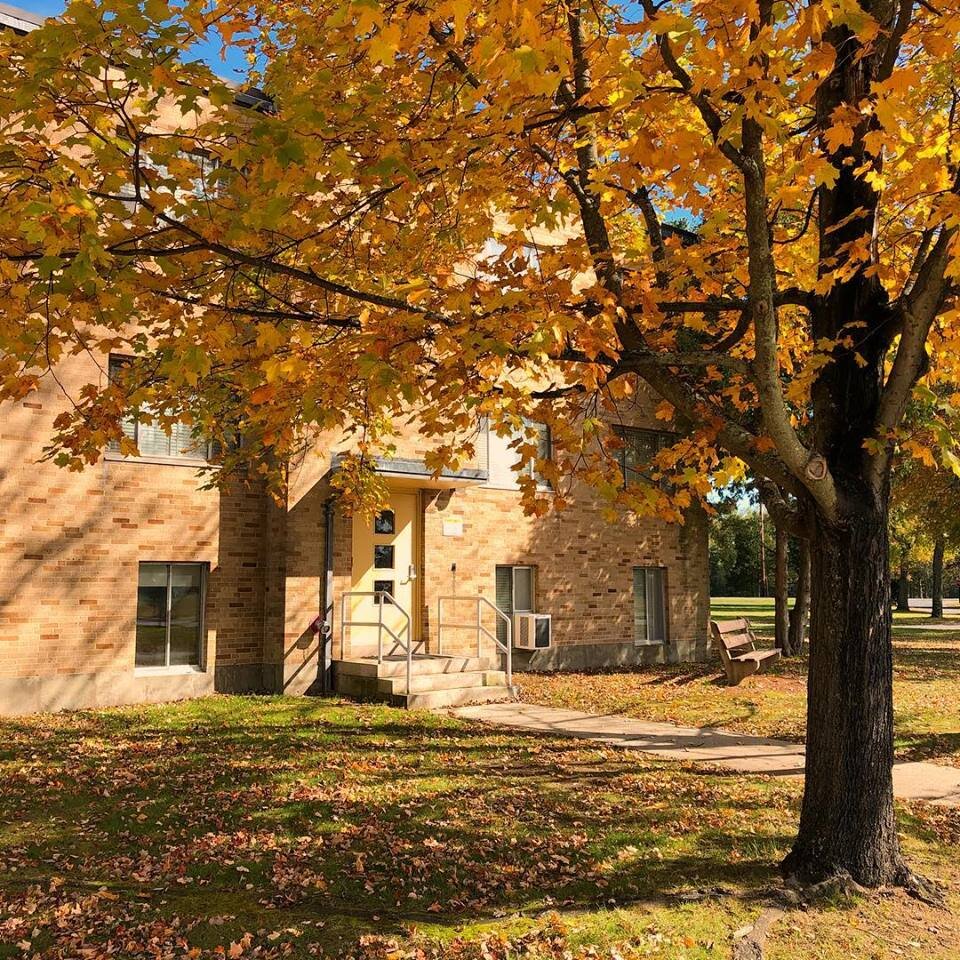 autumn1.jpg